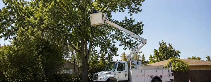 Tree service crew working from a bucket truck in a residential yard